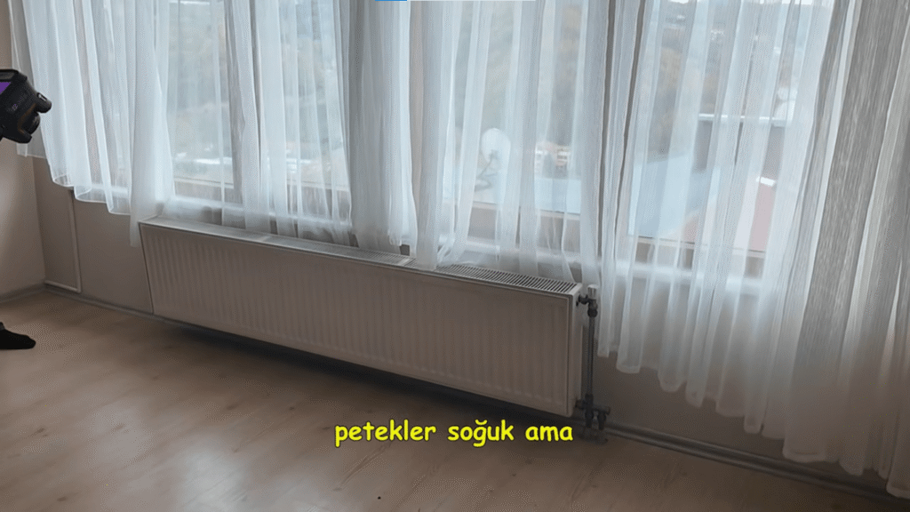 Evde Casus Böcek Bulma